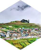 thendral_kodaikanal