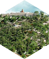 thendral_palani